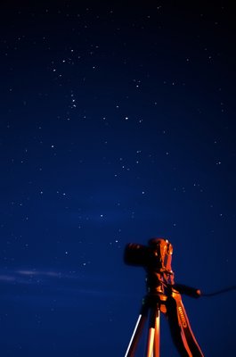 Canon en action_5377061931_l.jpg